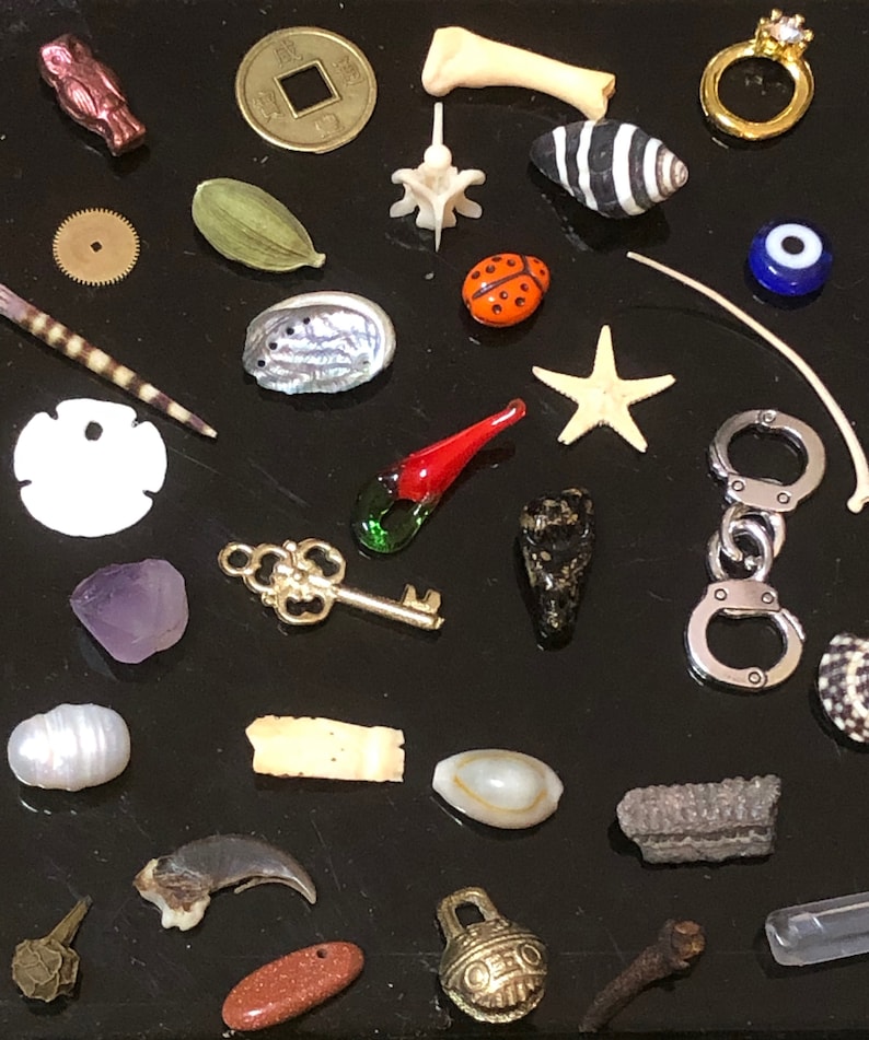 Medium Vintage Fargostein Tinned Travel Bone, Shell, and Trinket Divination Collection (40 Pieces) image 4