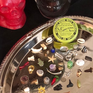 Large Vintage Fargostein Travel Size Tinned Bone, Shell, and Trinket Divination Collection (40 Pieces)
