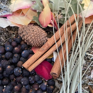 Mabon Herbs + Herbst-Tagundnachtgleiche + Herbst + Selig