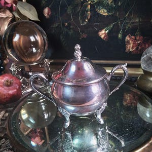 May include: A silver-colored sugar bowl with a lid and ornate handles and feet. The bowl sits on a mirrored tray with a decorative edge. A glass sphere and a painting with flowers are in the background.