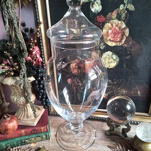 May include: A clear glass apothecary jar with a lid, displayed on a wooden surface. The jar has a wide base and a rounded body, with a clear glass lid. The background includes a framed floral painting and decorative items.