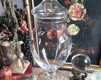 XL Large Vintage Glass Apothecary Jar / Lidded Finial Top Pedestal Jar Oddities Display / Glass Canister / Dark Gothic Cottage Witchy Decor
