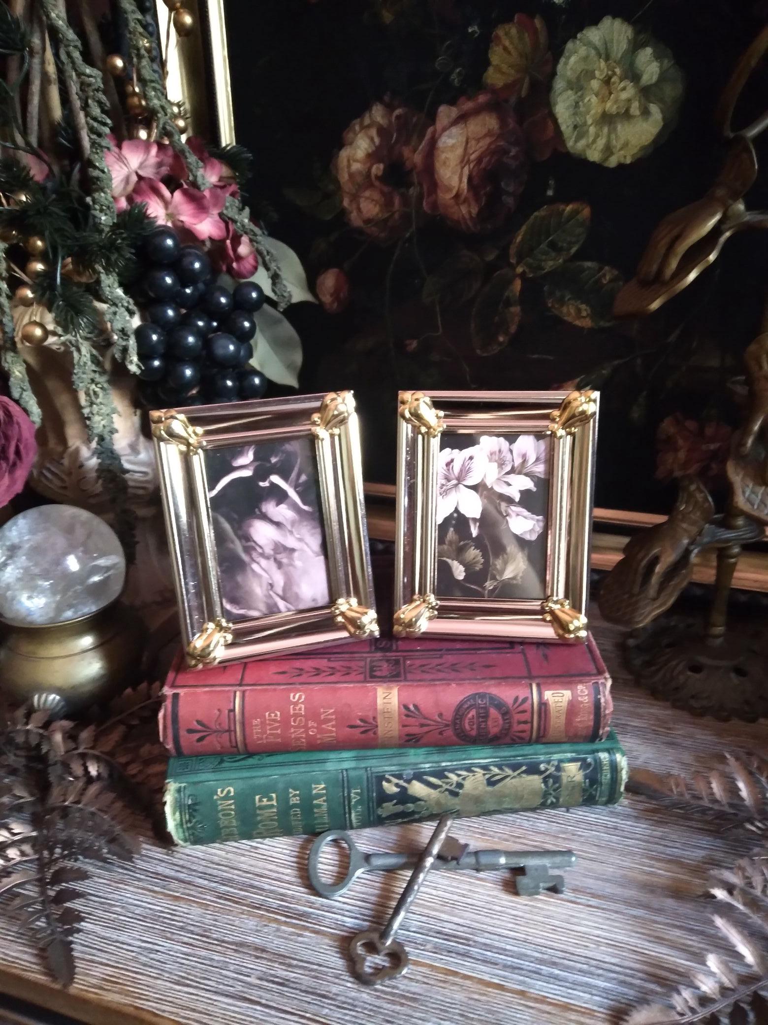 2 Mini Vintage Silver & Gold Frames / Small Baroque Picture Frame with Dark Moody Floral Prints / Gothic Cottage Witchy Decor