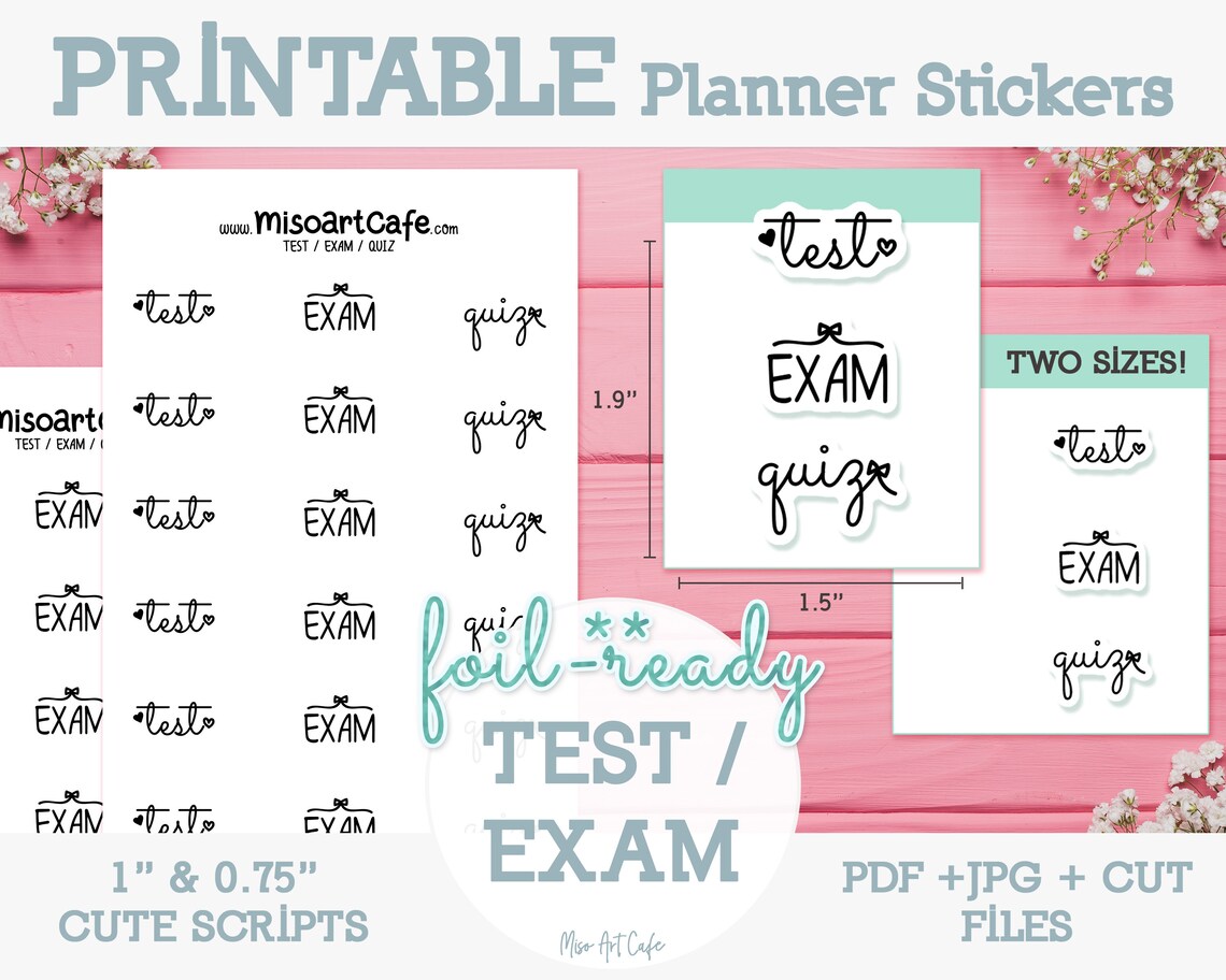 CSPM_EL-PP Reliable Study Notes