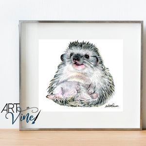 Wild Animals - Cute Hedgehog - Illustrated Print