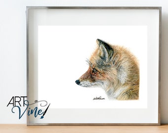 Wild Animals - The Great Fox - Illustrated Print