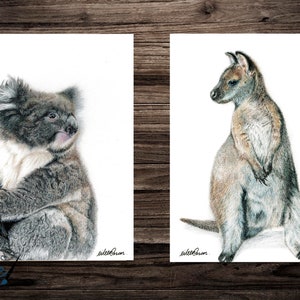 Wild Animals -Koala & Kangaroo - Illustrated Print