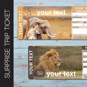 Druckbare Überraschungskarte für einen ZOO oder SAFARI PARK. Eintrittskarte. Druckbares Ticket. Fahrtkarte. Event Stub. PdF Sofortiger Download