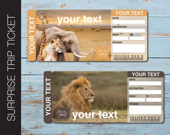 Zoo Ticket Template Printable