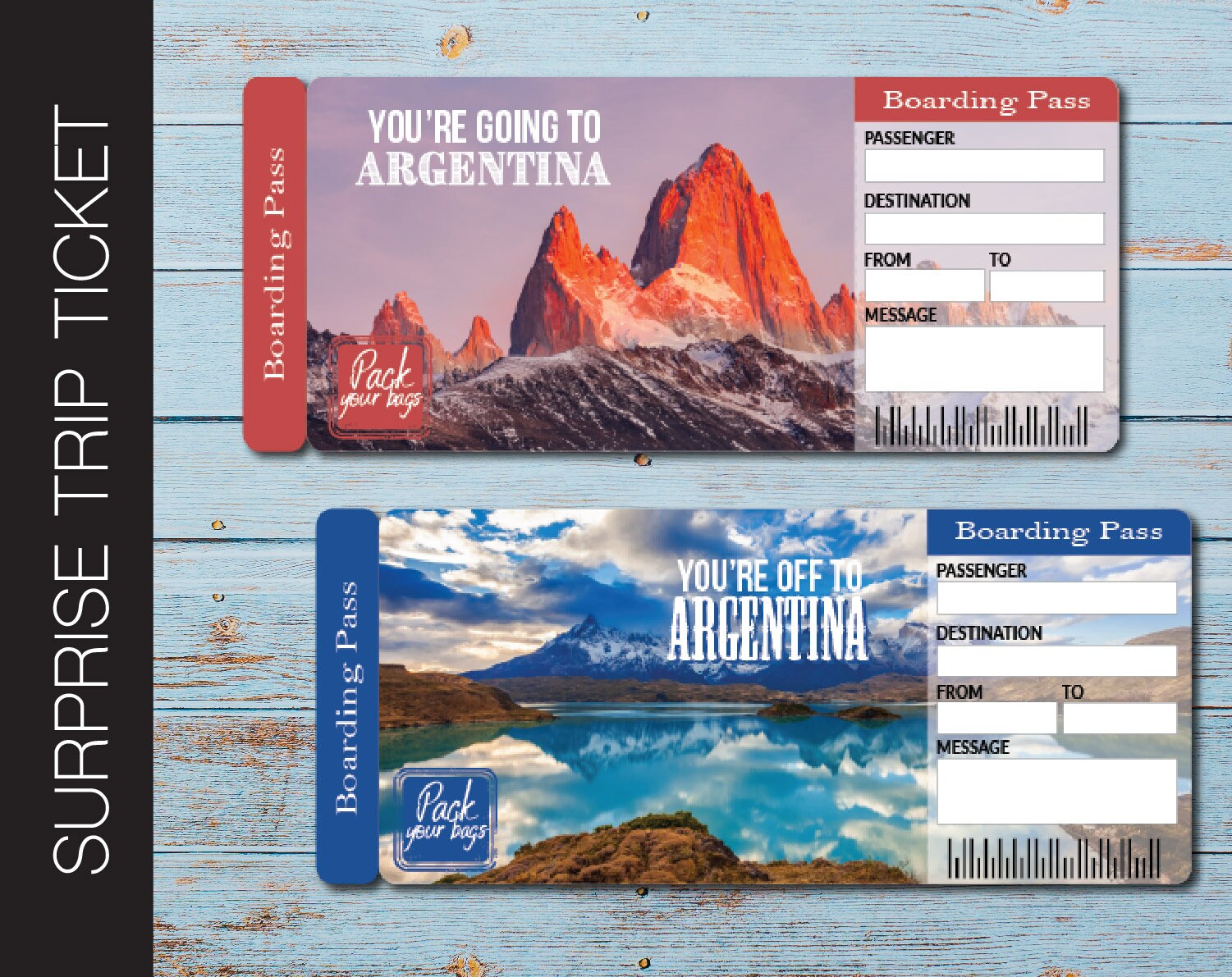 Printable ARGENTINA Surprise Trip Gift Ticket. Boarding Pass. Etsy