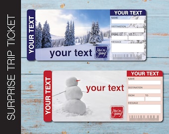 Printable SNOW TIME Surprise Gift Reveal Ticket. Admission Pass. Printable Ticket. Trip Ticket. Event Stub. PdF Instant Download