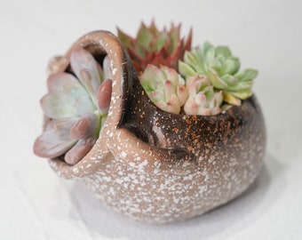 Ceramic Planter With Drainage Hole/(1 POT)/Cactus Succulent Plant Pot/Small Fern Flower Pot Gift Garden Desk Decoration/