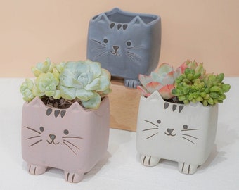 Macetas de cerámica con orificio de drenaje/maceta de cactus suculenta/maceta pequeña de helecho, regalo, decoración de escritorio de jardín/animal lindo