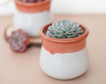 Ceramic Planter With Drainage Hole/(1 POT)/Cactus Succulent Plant Pot/Small Fern Flower Pot Gift Garden Desk Decoration