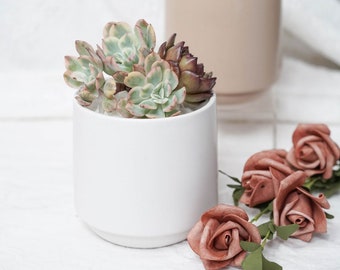Ceramic Planters With Drainage Hole/Succulent Cactus Plant Pot/Small Fern Flower Pot Gift Garden Desk Decoration