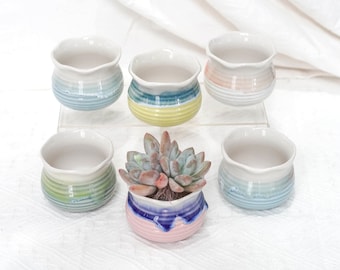 Set of 6 Ceramic Planters With Drainage Hole/Succulent Cactus Plant Pot/Small Fern Flower Pot Gift Garden Desk Decoration