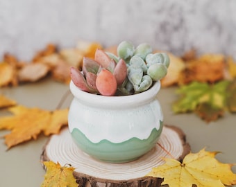 Milky Green Ceramic Planter With Drainage Hole/(1 POT)/Cactus Succulent Plant Pot/Small Fern Flower Pot Gift Garden Desk Decoration