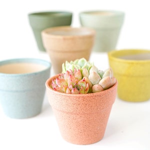 Ceramic Planters With Drainage Hole/Cactus Succulent Plant Pot/Small Fern Flower Pot Gift Garden Desk Decoration image 2