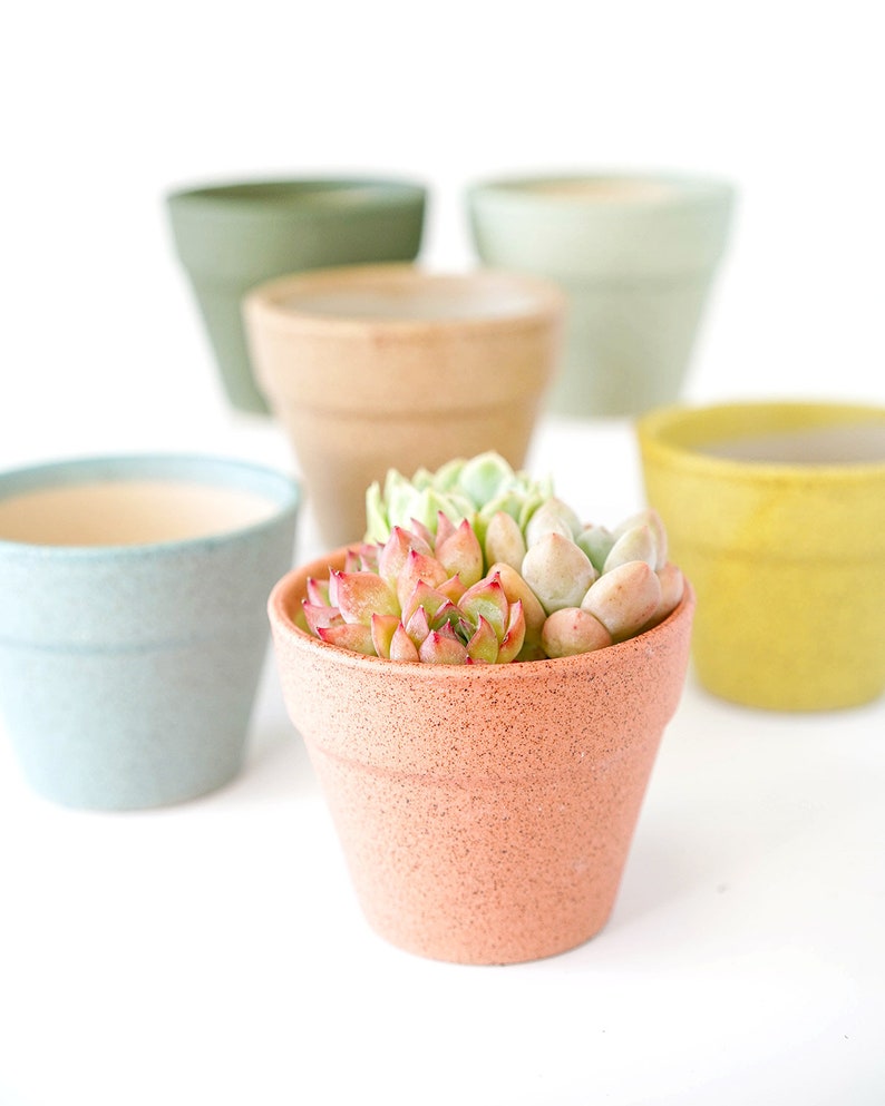 Ceramic Planters With Drainage Hole/Cactus Succulent Plant Pot/Small Fern Flower Pot Gift Garden Desk Decoration image 2