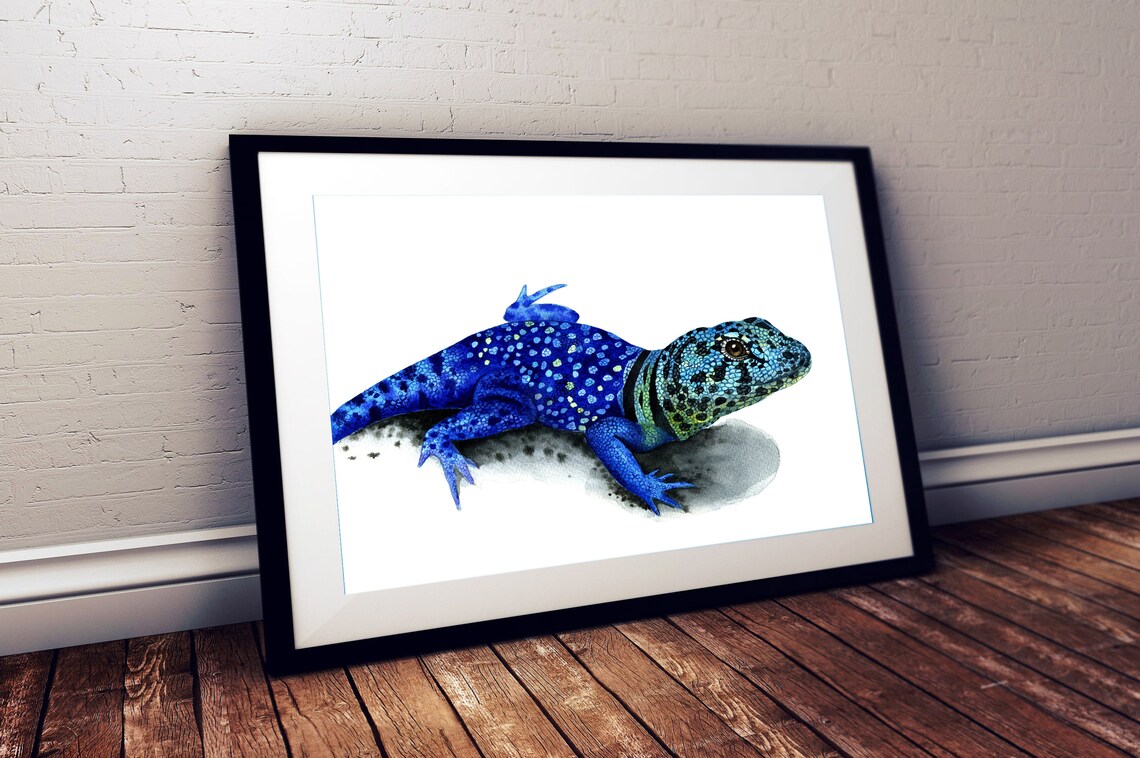 Blue Lizard Print Reptile Room Decor Herpetology Print Lizard Etsy