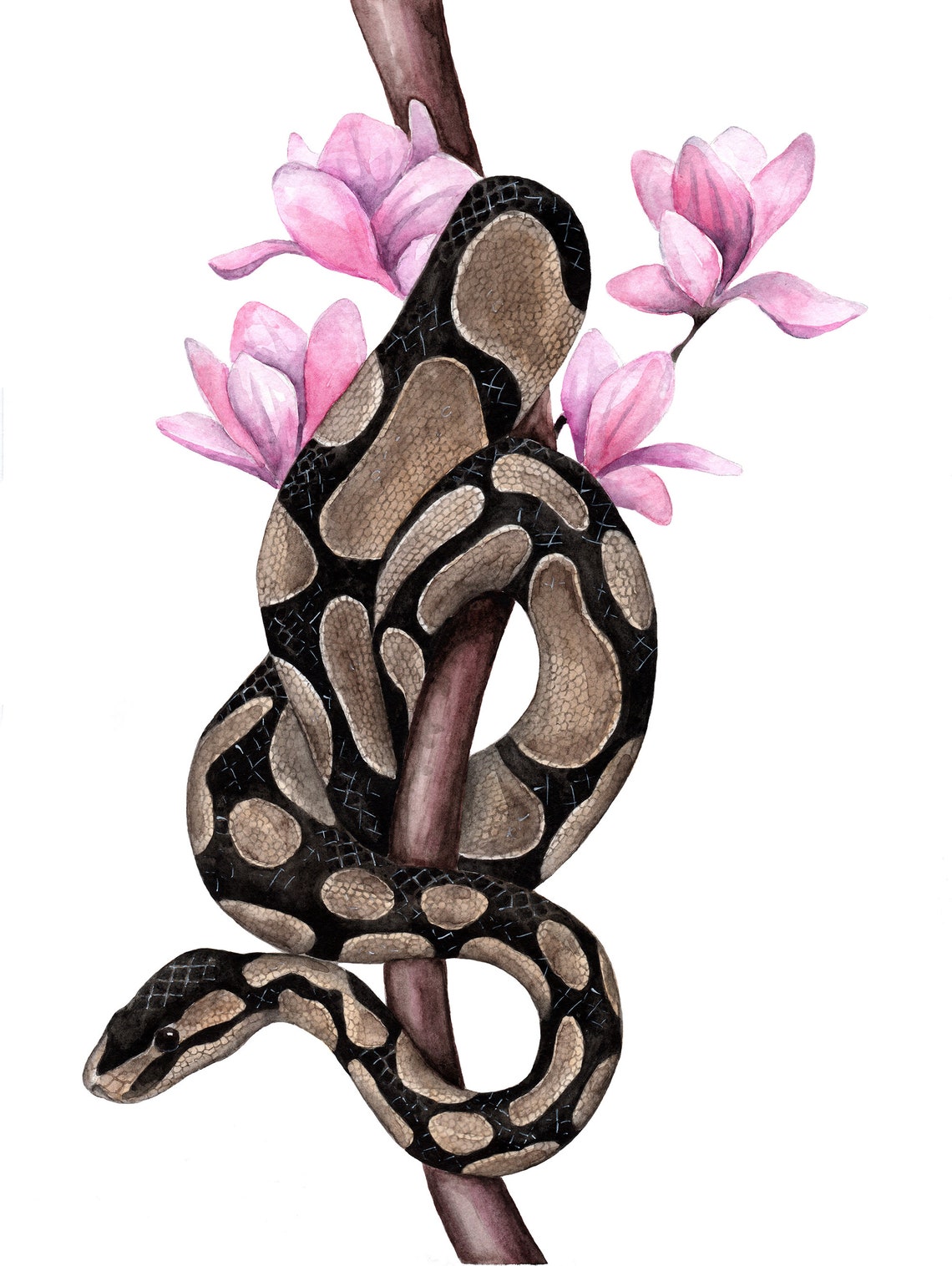 Python print Snake wall art Ball python Reptile painting Snake | Etsy