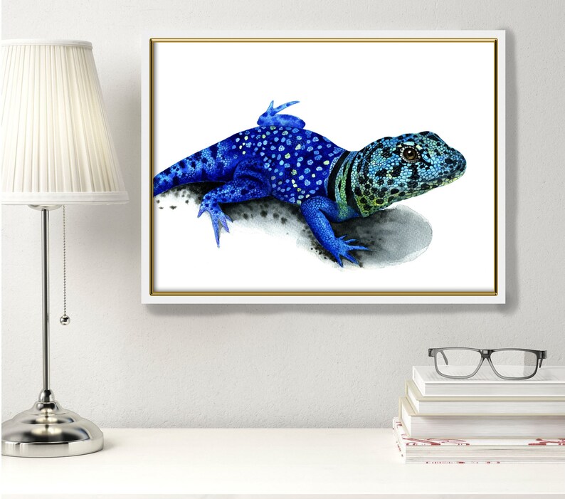 Blue Lizard Print Reptile Room Decor Herpetology Print Lizard - Il 794xN.2014246485 5c0c