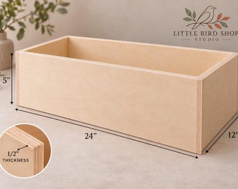 May include: A rectangular light-colored wooden box with visible plywood edges. The box measures 24 inches in length, 12 inches in width, and 5 inches in height, with a material thickness of 1/2 inch as indicated by the inset detail.
