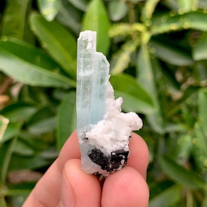 Natural Aquamarine Crystal With Black Tourmaline Combine Specimen , Rough Aquamarine , Aquamarine Specimen , Weight : 8.50 Grams