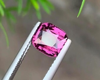 May include: A cushion-cut, vibrant pink gemstone held by silver tweezers. The gem has a bright, reflective interior and a faceted surface. Green foliage is visible in the background, providing a natural contrast to the gem's color.