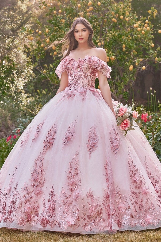 Vestidos de hotsell quinceañera en venta
