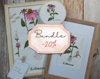 Embroidery file Botanical drawing Echinacea for all hoop sizes