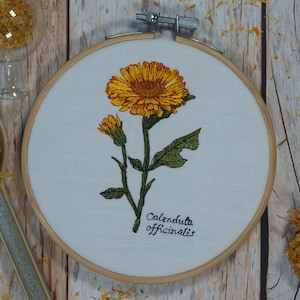 May include: Embroidered hoop art featuring a yellow and orange calendula flower with green leaves and stems. The text "Calendula officinalis" is embroidered below the flower.
