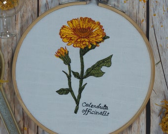 Stickdatei Botanische Zeichnung Calendula 10x10 cm