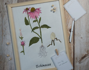 Stickdatei Botanische Zeichnung Echinacea große Größen