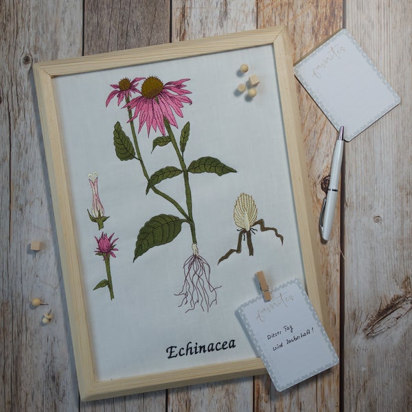 Stickdatei Botanische Zeichnung Echinacea große Größen