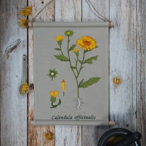 May include: A beige canvas scroll with a botanical illustration of a Calendula officinalis plant with yellow and orange flowers and green leaves. The scroll is hanging on a wooden wall with a spoon and a small glass jar of dried flowers.