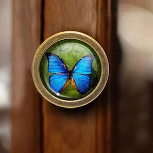 Puede incluir: Pomo de armario redondo con acabado de latón. El pomo presenta un diseño de mariposa azul sobre un fondo verde, encerrado en una cúpula de cristal transparente. La mariposa tiene alas azul brillante con detalles en naranja.