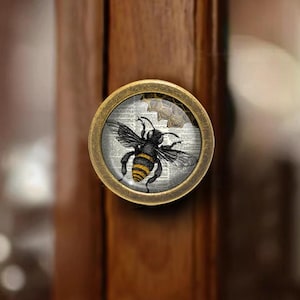 Puede incluir: Pomo de armario redondo con acabado de latón. El pomo presenta una ilustración detallada de una abeja con rayas negras y amarillas, sobre un fondo de texto vintage y elementos florales. El pomo está montado en una puerta de armario de madera.