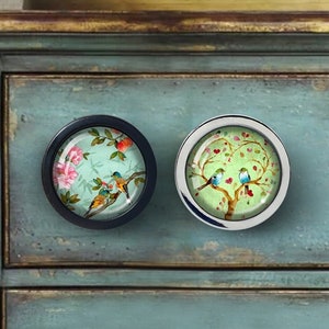 May include: Two round cabinet knobs with a black and silver finish. The knobs feature a glass insert with a floral design and birds. The floral design on the left knob is pink, green, and yellow. The floral design on the right knob is green and pink. The knobs are mounted on a light blue cabinet.