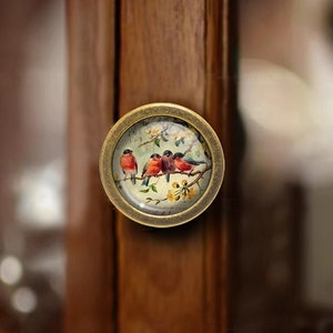 May include: A round, brass cabinet knob with a glass insert featuring a painted image of five red-breasted birds perched on a branch with white blossoms.