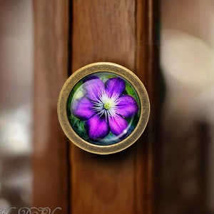 Puede incluir: Un pomo de armario redondo de latón antiguo con una flor morada con centro blanco.