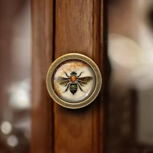 May include: A round, brass cabinet knob with a glass insert featuring a detailed illustration of a bee with brown, yellow, and black markings.