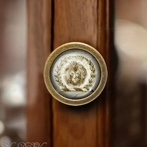 May include: A round, brass cabinet knob with a glass insert featuring a detailed illustration of a lion's head surrounded by a laurel wreath.