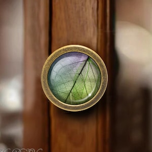May include: A round, brass cabinet knob with a clear glass insert featuring a pressed, dried leaf with green and purple hues.