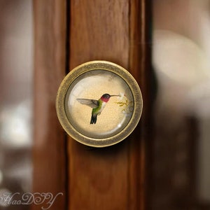 Op de afbeelding: Een ronde, antieke messing kastknop met een glazen inzetstuk met een kolibrie in vlucht, die nectar drinkt uit een bloem.