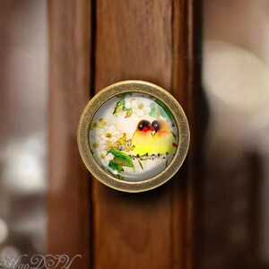May include: A round, antique gold cabinet knob with a glass insert featuring a painted image of two yellow birds perched on a branch with white blossoms.