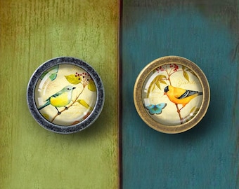 Vogelknoppen Kast Knoppen Handgrepen Handgrepen Keukenkast Wijnkast Deurknoppen Dressoir Handgrepen Handgrepen Kastknoppen Meubelknoppen