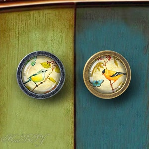 Op de afbeelding: Twee ronde kastknoppen met een vintage ontwerp. De knoppen hebben een glazen inzet met een bloemenmotief en een vogel. De ene knop heeft een gele vogel en de andere een blauwe vogel.