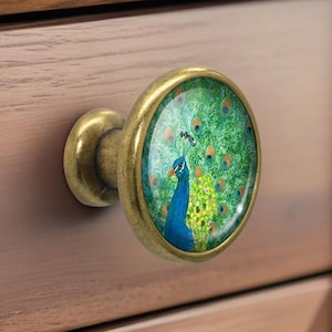 May include: A decorative cabinet knob with a peacock design. The knob has a brass finish and a round, glass-like insert featuring a colorful peacock illustration in shades of blue, green, and yellow. The knob is attached to a wooden drawer.