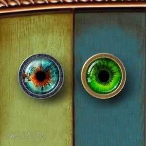 May include: Two decorative cabinet knobs with eye designs. The left knob has a blue, green, and orange eye with a black pupil. The right knob has a green eye with a black pupil. Both knobs have a gold-colored metal frame.